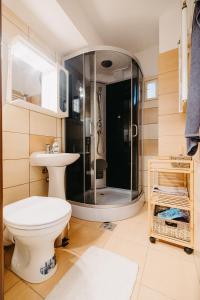 a bathroom with a toilet and a shower at B-G Apartments in Gheorgheni