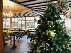 a christmas tree in a restaurant with tables and chairs at Hotel Schaepkens van St Fijt in Valkenburg