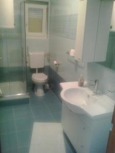 łazienka z toaletą i umywalką w obiekcie Apartment Zeljka w mieście Bribir