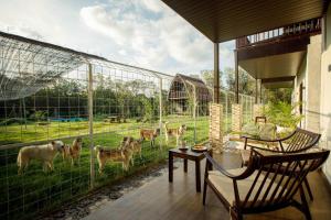 a room with a fence with animals in the grass at Alpha Wolf Lodge in Cemagi +2 photos