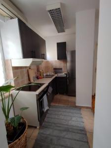 ノヴィサドにあるApartman Matica Srpska sa garazomのシンクとコンロのあるキッチン