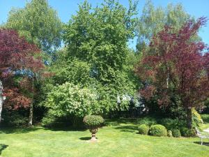 Fotografie z fotogalerie ubytování La Fontaine d'Inville v destinaci Graincourt-lès-Havrincourt