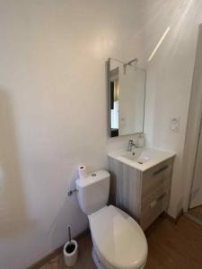 a bathroom with a white toilet and a sink at Charment studio dans le centre ville de Dieppe in Dieppe