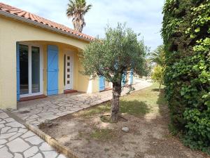 a small tree in front of a house at Superbe villa T4 classée 3 étoiles avec piscine privative chauffée 8PALCR in Saint Cyprien Plage