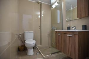 a bathroom with a toilet and a shower and a sink at Naiades Hotel by Estia in Kato Gouves