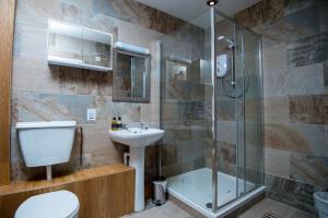 a bathroom with a shower and a toilet and a sink at Round Park in Laugharne +22 photos