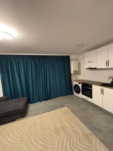 a living room with a couch and a green curtain at Cozy Apartment Mureseni in Târgu-Mureş