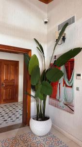a plant in a white vase in a room at Tarihi Kumbaba Otel in Sile