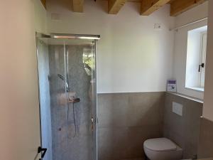 a bathroom with a shower and a toilet at Agriturismo Corte Bonetti - Appartamento Il Platano in Pescantina
