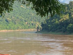 Φωτογραφία από το άλμπουμ του Mekong Backpackers σε Pakbeng +27 φωτογραφίες