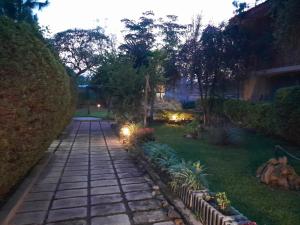 阿瓦萨Ashara的夜间花园,有石头走道