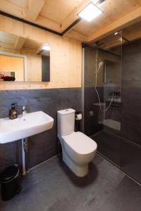 NeuwerkにあるTinyhouse Wald-Fritzlのトイレ、洗面台、シャワー付きのバスルーム