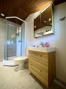 ein Badezimmer mit Toilette, Waschbecken und Dusche in der Unterkunft Riihen Ullakko in Äkäslompolo