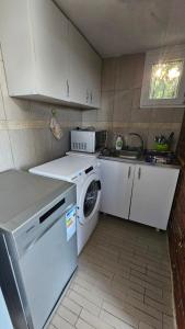 a kitchen with a washing machine and a washer at Beška Sauna View in Beška