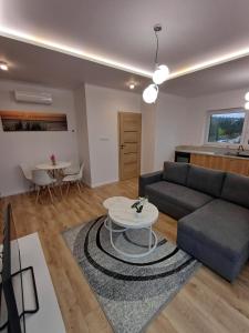 Χώρος καθιστικού στο Mieszkania i Apartamenty