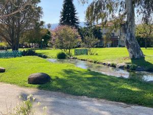 a stream in a park with a tree and grass at צימר על הנחל in Metsudat Menahem Ussishkin Alef
