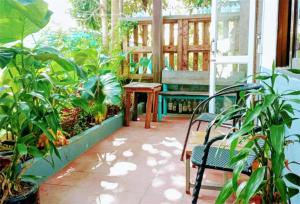 a porch with a table and chairs and plants at Dragonfly Guesthouse M'Pai Bay in Koh Rong Sanloem