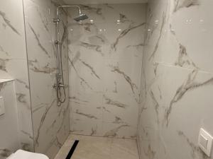 une salle de bain avec douche et toilettes dans l'établissement Skyline WIFI Parking - Confort, à Bruxelles