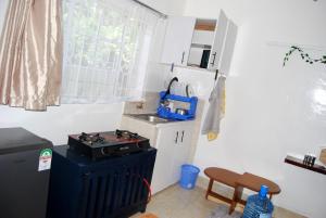 Η κουζίνα ή μικρή κουζίνα στο Shepherd's Court