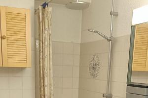a shower with a shower curtain in a bathroom at Apartment with terrace close to the slopes in Le Monêtier-les-Bains +8 photos