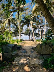 a stone path leading to a beach with palm trees at Orchid Home Stay in Cherai Beach +24 photos
