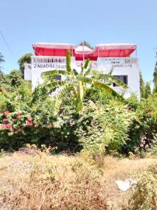 Zahrada ubytování Zaradise Hotel