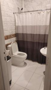 a bathroom with a toilet and a shower curtain at شاليهات مدينة الحدائق لبيوت العطلات in Baljurashi +13 photos