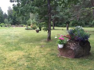 Zahrada ubytování Kukka Holiday House