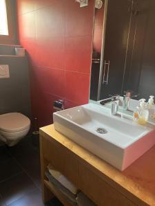 a bathroom with a white sink and a toilet at Swissalpschalet Timber Inn 1st floor, 6 persons in Blatten bei Naters +8 photos