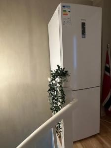 a plant sitting next to a white refrigerator at Cozy place in Lutvann with Balcony in Oslo