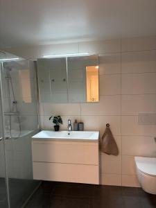 a bathroom with a sink and a shower and a toilet at Cozy Aurora View Apartments - Entire 3-Bedroom Fully Furnished Near City Centre in Tromsø