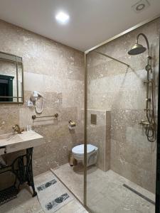un bagno con doccia, WC e lavandino di Casa Iulian a Oradea Altre 10 foto