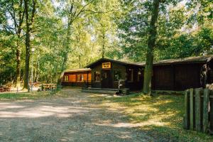 于尔岑Waldhaus Molzen - Natur erleben的森林中小屋