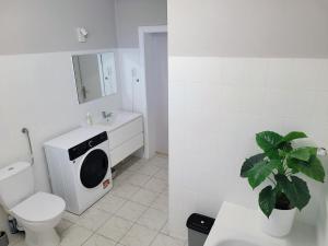 オストルダにあるPanorama Widokのトイレと洗面台を備えた白いバスルーム
