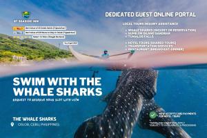 a poster for swim with the whale sharks at GT Seaside Inn in Oslob