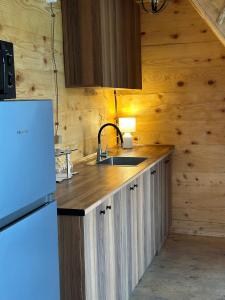 InasharidzeebiCOMFORT Qobu的相册照片