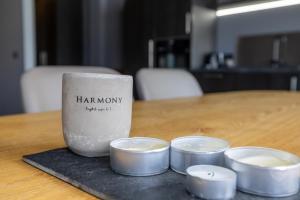 Fotografie z fotogalerie ubytování LL Properties - TB24 Nest in the North v destinaci Akureyri