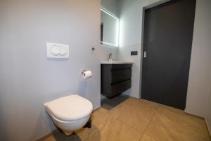 a bathroom with a toilet and a sink at LL Properties TB24 Nest in the North in Akureyri +11 photos