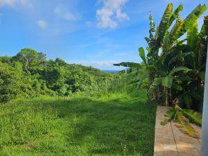 a path through the grass with the ocean in the background at Studio Belle Place in Le Gosier
