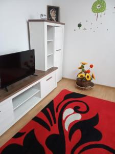 a living room with a television and a red rug at Apartament Central in Piatra Neamţ