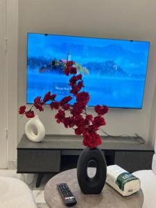 un jarrón negro con flores rojas en la sala de estar en #3 Daily Rental Studio in Sulaymaniyah, en Riad