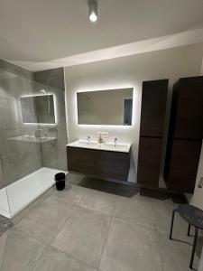 Un baño con lavabo, ducha y espejo. en Beaulivia Maaseik, en Maaseik 10 fotos más