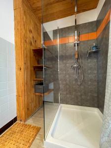a bathroom with a shower with a tub at L'Idylle avec accès toit terrasse in Veynes