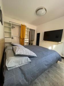 a bedroom with a bed with pillows and a flat screen tv at L'Idylle avec accès toit terrasse in Veynes +7 photos