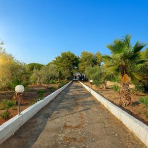 eine leere Straße mit einer Palme in der Mitte in der Unterkunft Villa nel Salento con piscina e ulivi in Nardò