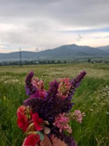 Fotografie z fotogalerie ubytování Baleni Guesthouse Agritourism v destinaci Gyulagarak