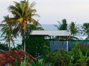 a building with a palm tree in front of the ocean at Heaven's Edge Lodge & Spa in Weligama