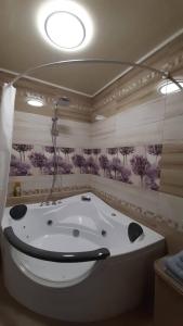 a bathroom with a bath tub with a shower at Apart in Ivano-Frankivsʼk