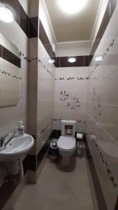 a bathroom with a toilet and a sink at Apart in Ivano-Frankivsʼk