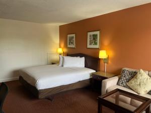 a hotel room with a bed and a couch at Motel 6 Culpeper, VA in Culpeper